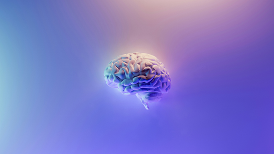 A brain is shown on purple background