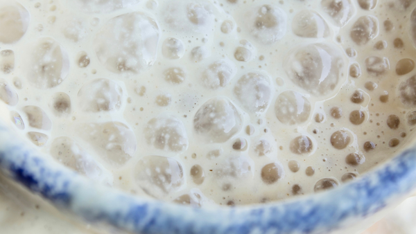 Fermented milk in a mug illustrating how probiotics have been used in the past and present.