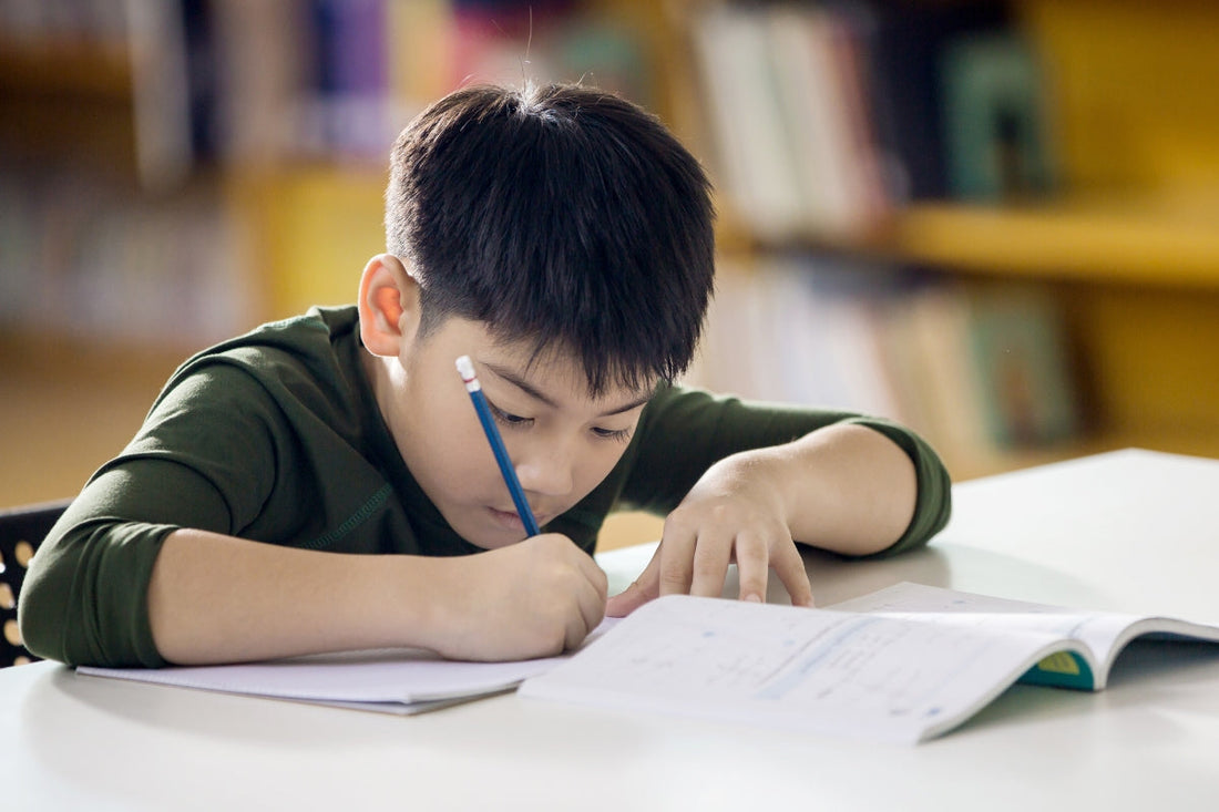 Bagaimana Probiotik PS128™ Dapat Membantu Anak Mendapatkan Kembali Perhatian