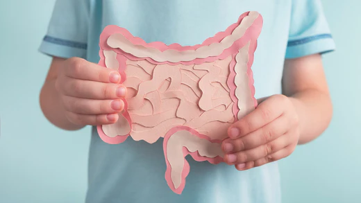 man holding a paper model of a gut in front of him to illustrate the best probiotics for gut health